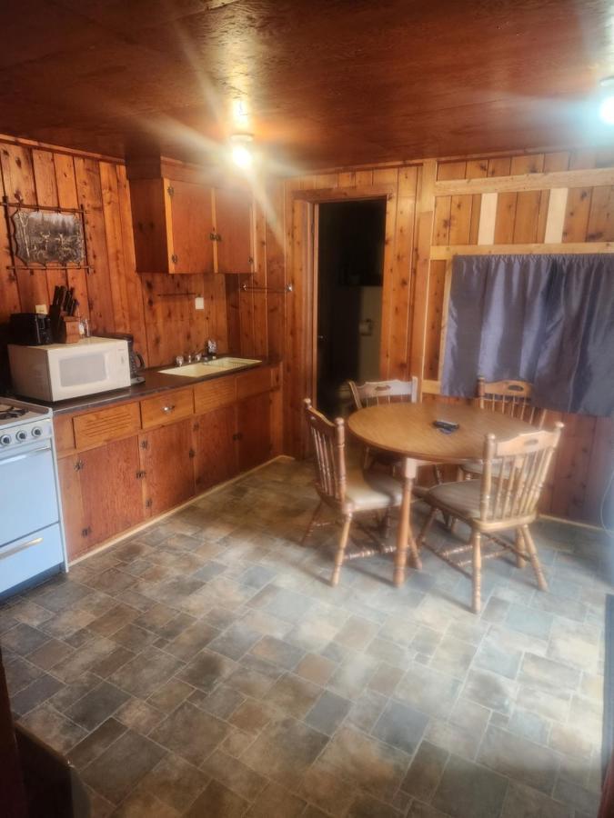 Cabin 2 Manistique Dış mekan fotoğraf